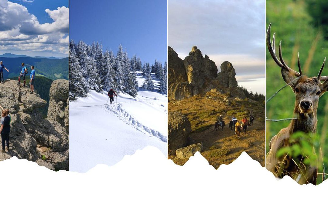 Branding, inovare, finanțare și politici pentru managementul destinației turistice