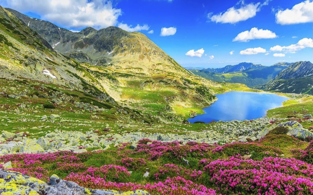 Impactul poluării aerului în zonele urbane și destinații turistice